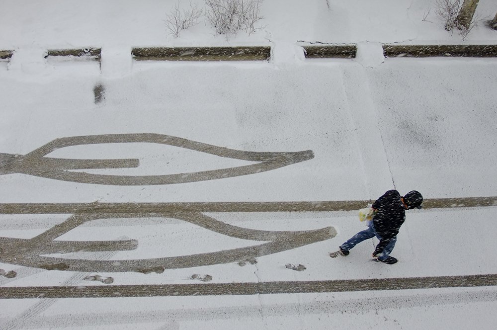 Photograph by ghasem sahrayi