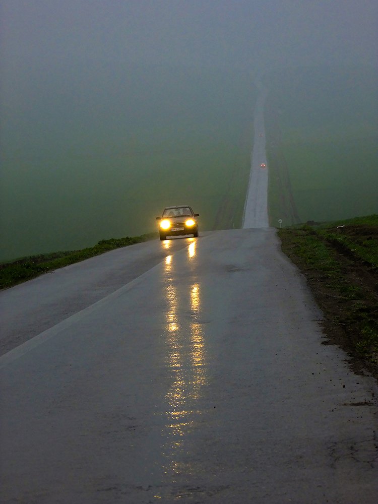 Photograph by ghasem sahrayi