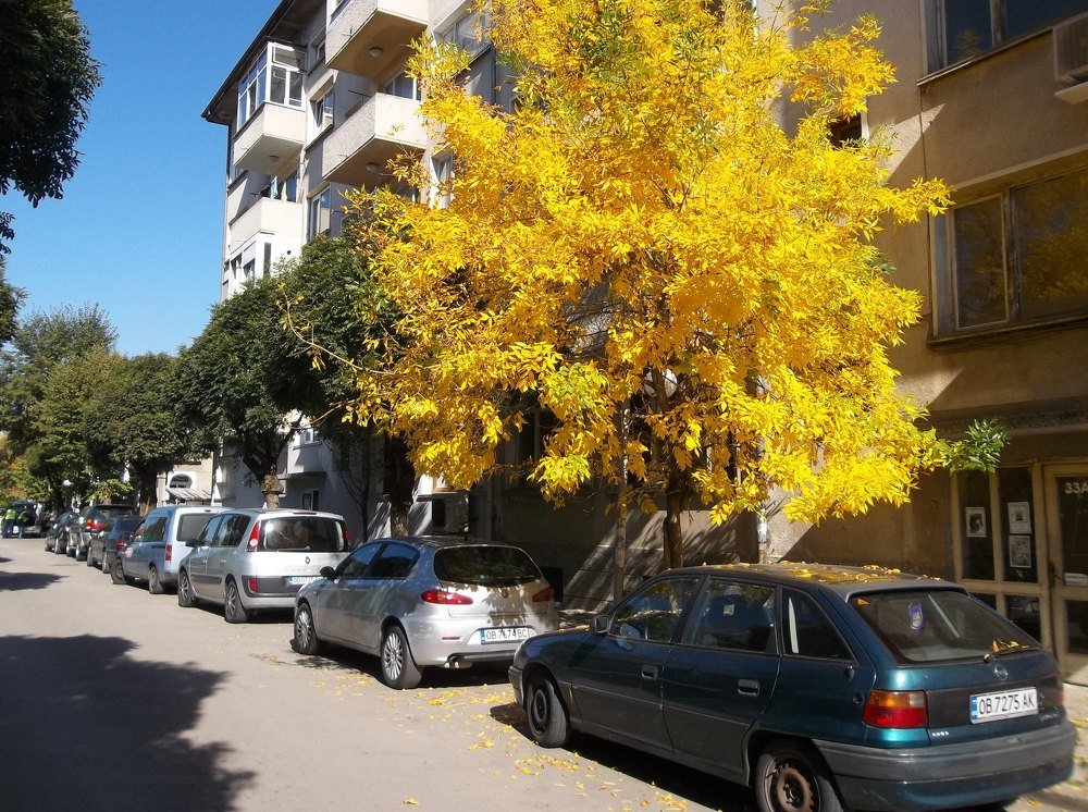 Photograph by Георги Колев