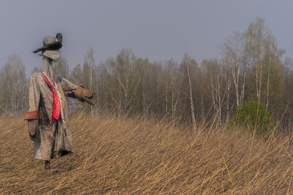 Stuffed in the spring field on the background of autumn not cleaned rye
