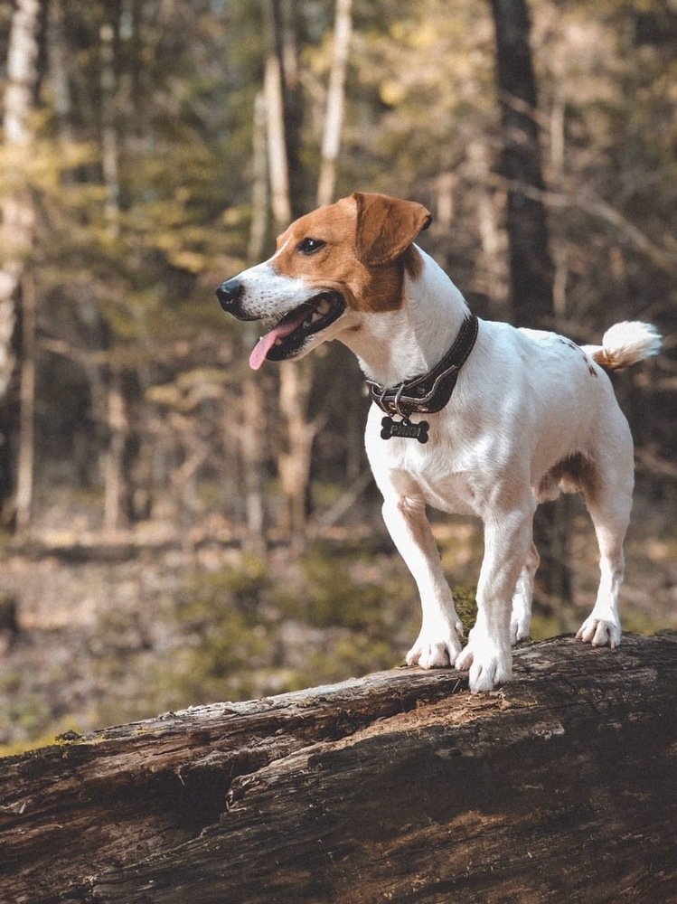 Photograph by Борис