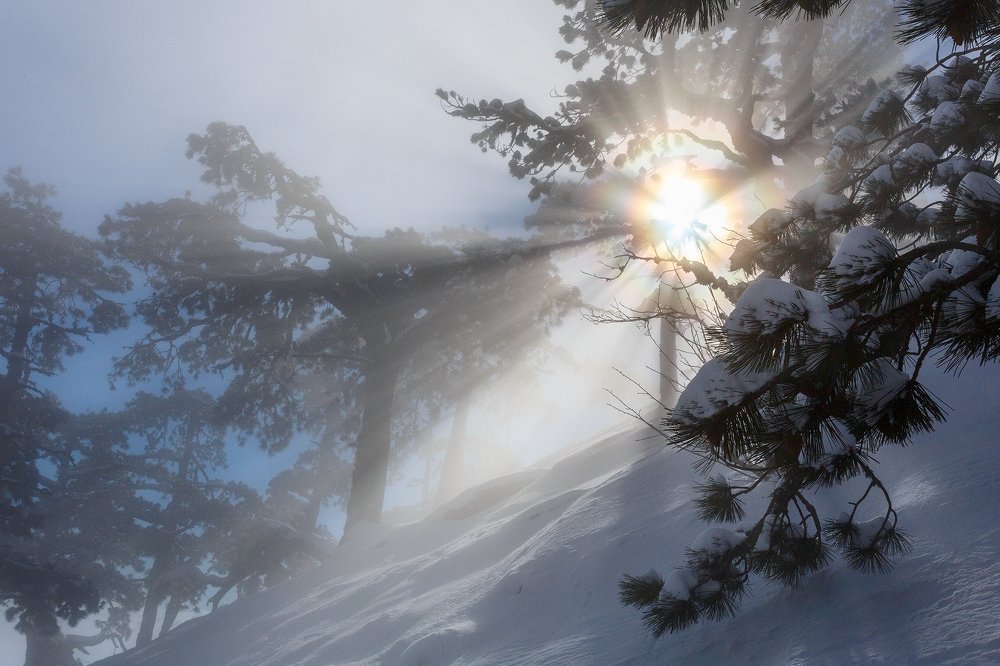 Снежное солнце Ай-Петринских склонов