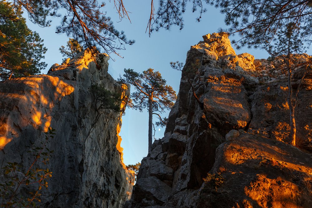 Пурпурные скалы Крыма