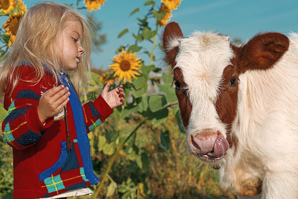 Photograph by Илья Фролов