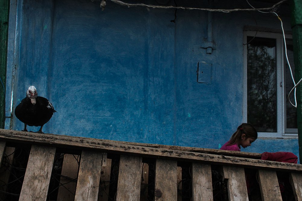 Photograph by Mercan Andra