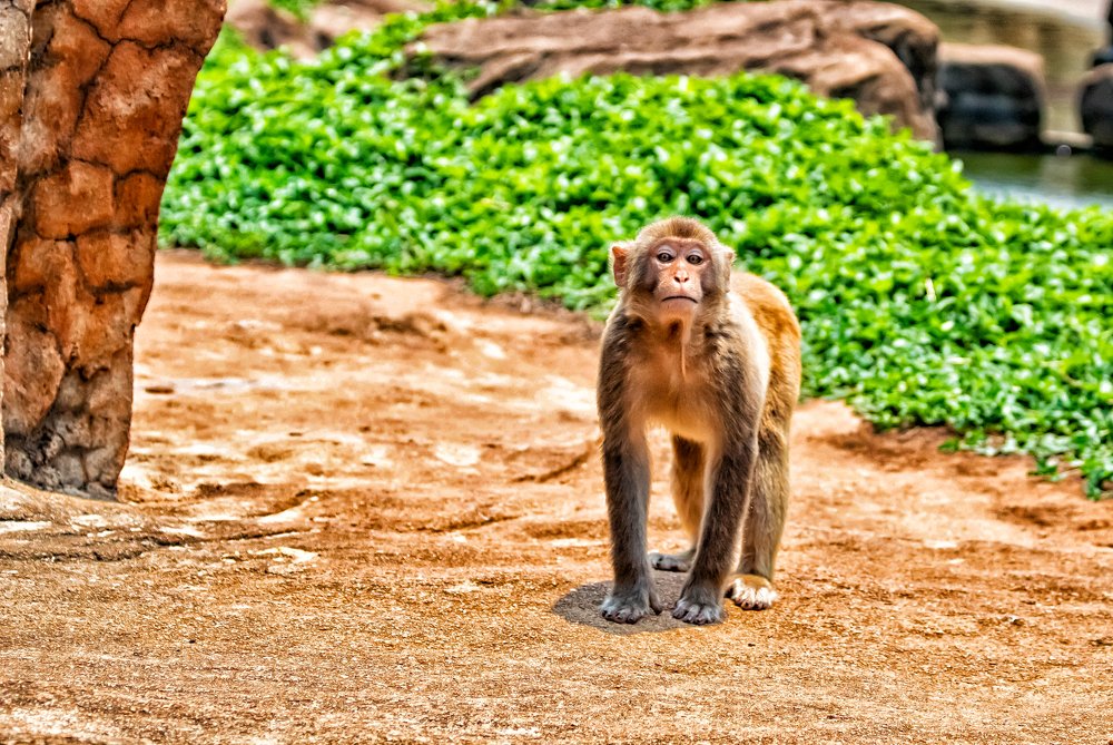 Photograph by Мари Полищук