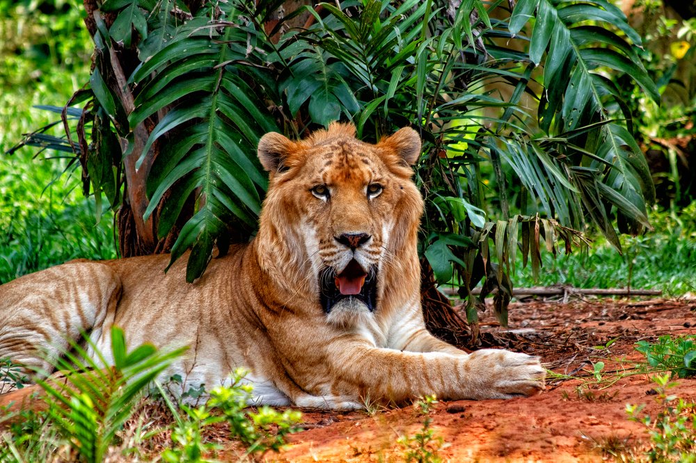 Photograph by Мари Полищук