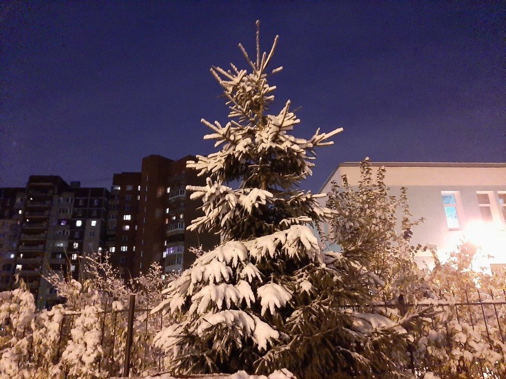 Photograph by Терентьева Марина