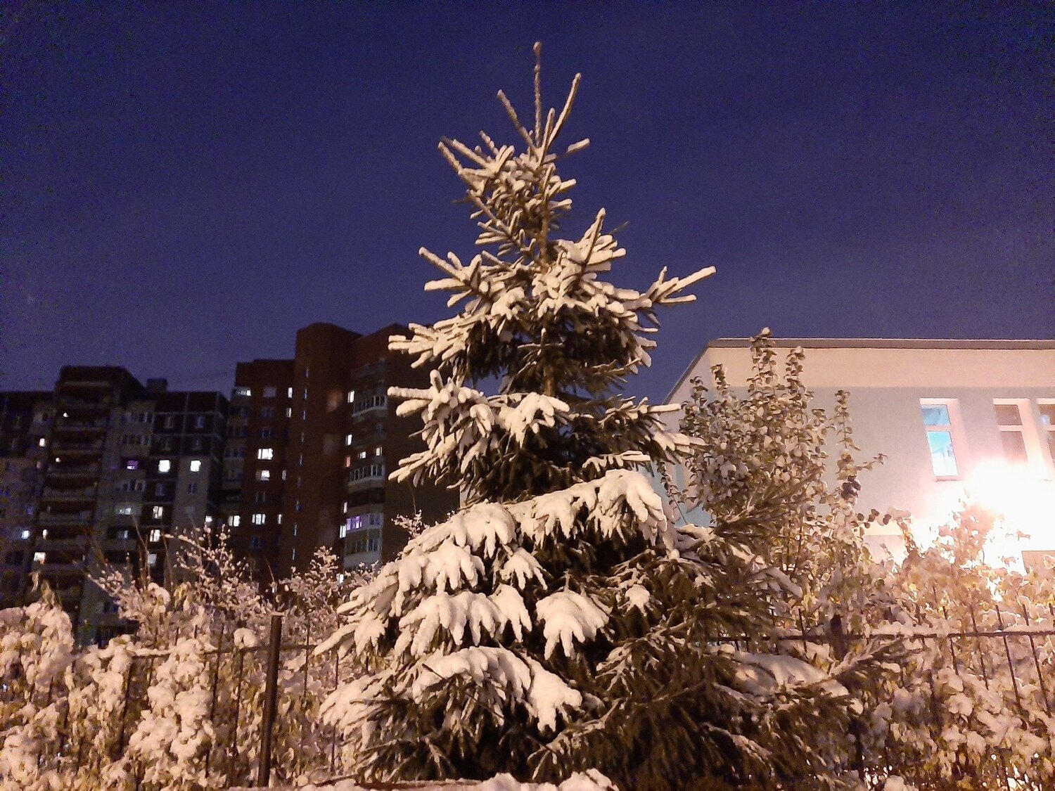 Photo #4060959