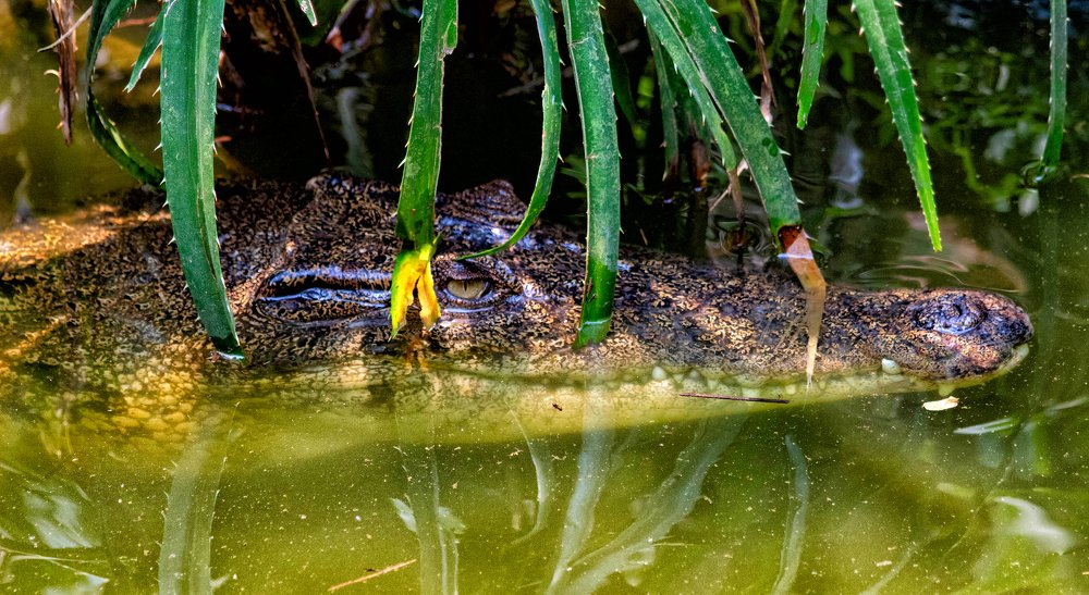 Photograph by Мари Полищук