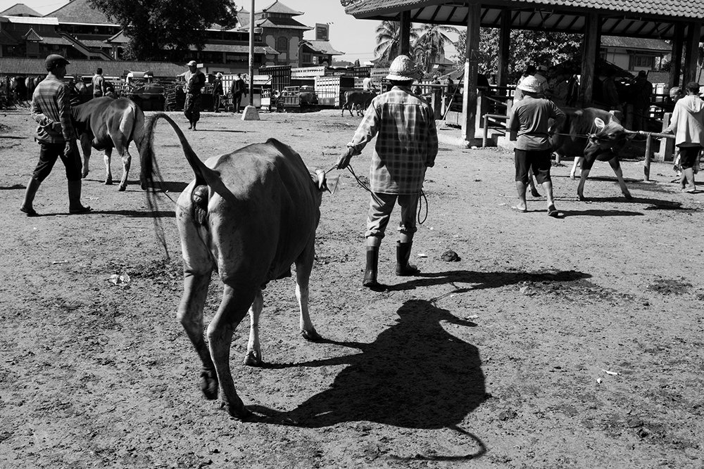 Photograph by Faletkin Mikhail