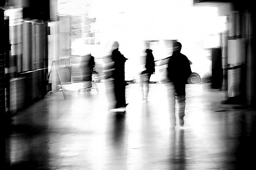 Фотография автора vladimir algazin