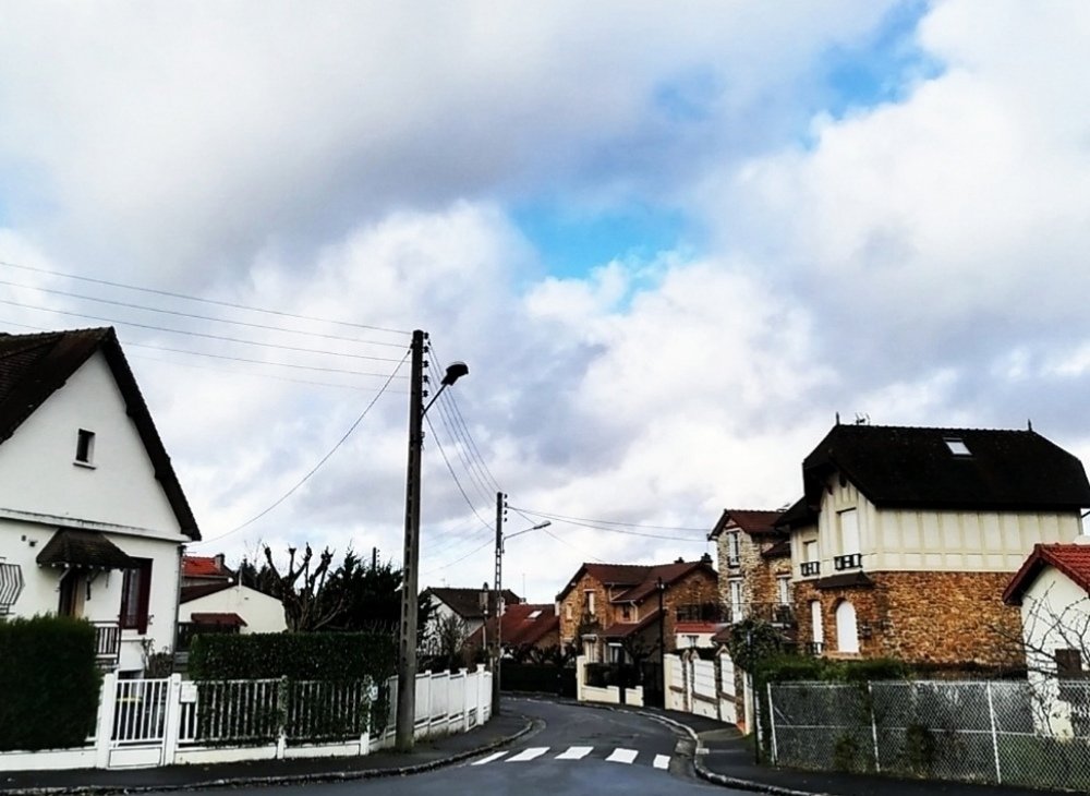 Photograph by Lily