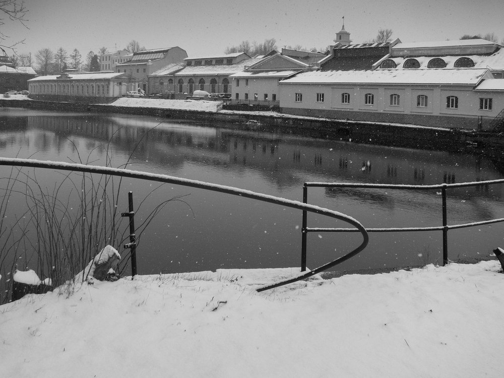 Photo #4061257