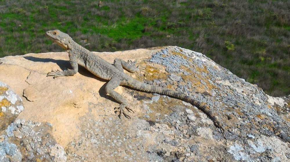 Photograph by Ali Aliyev