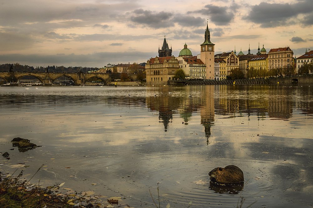 Фотография автора Александра Елагина