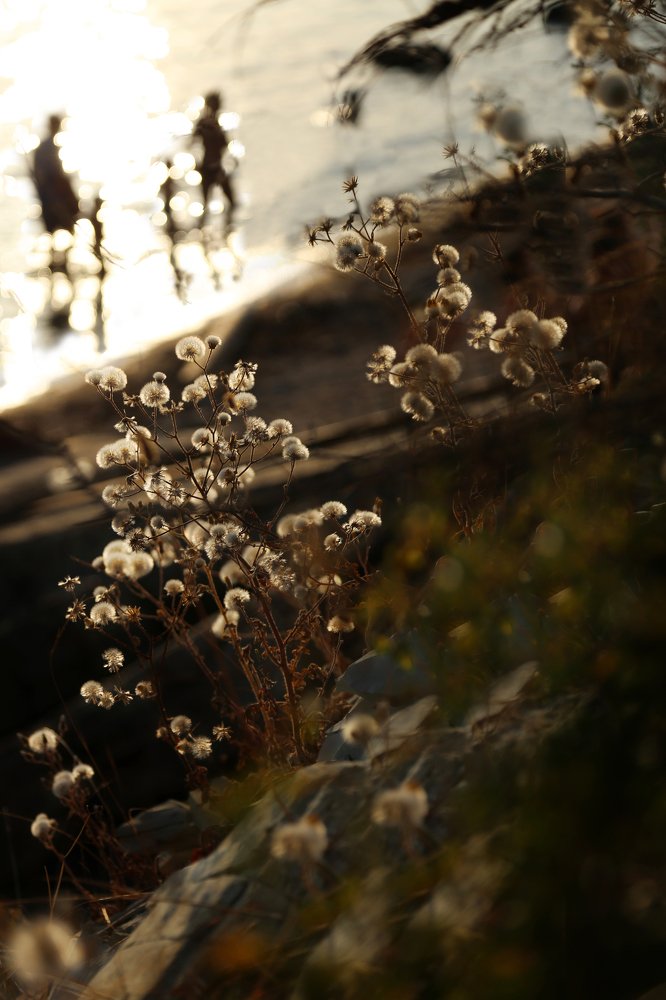 Photograph by Александра Свенская