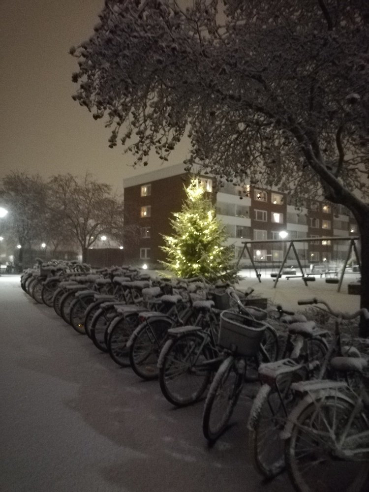 Неужто зима?