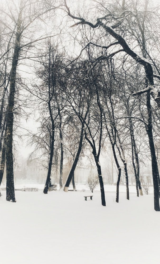 Photograph by Людмила М