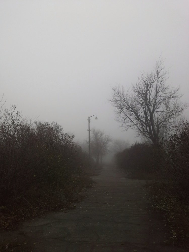 Photograph by Людмила М