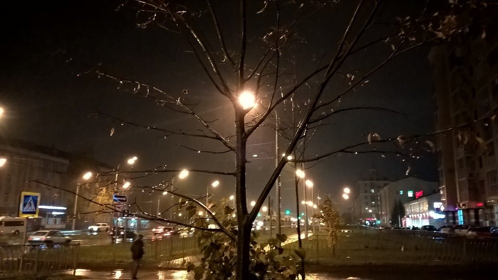 Photo #4061527