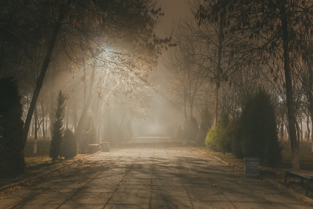 Photograph by Евгений Сорочин