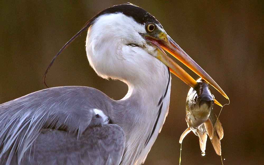 Photograph by Константин Слободчук