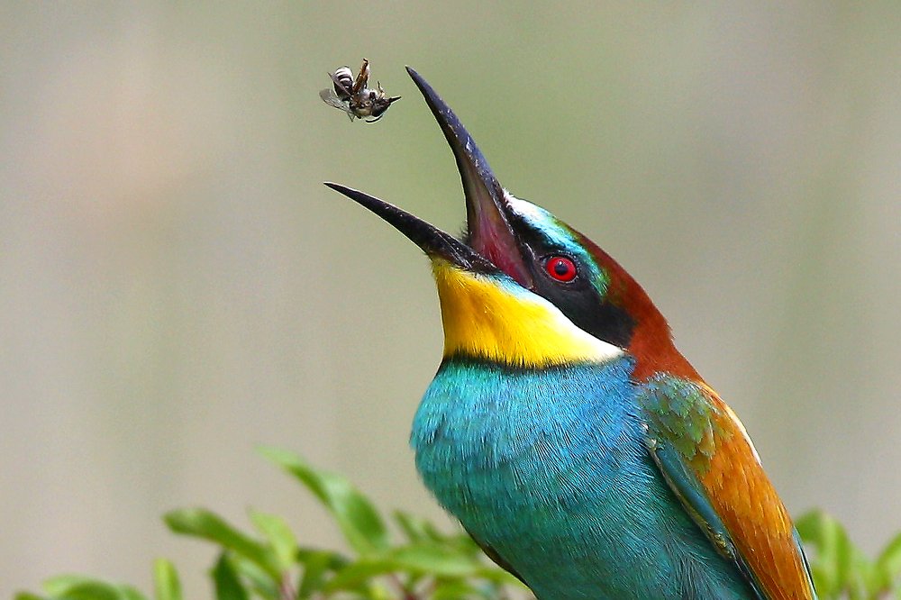 Photograph by Константин Слободчук