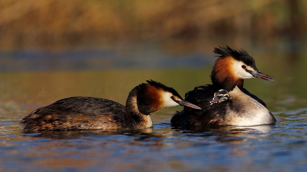 Photograph by Константин Слободчук