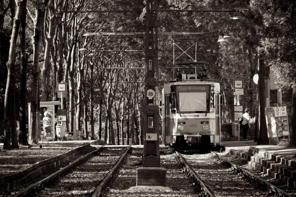 Photograph by cartoon62