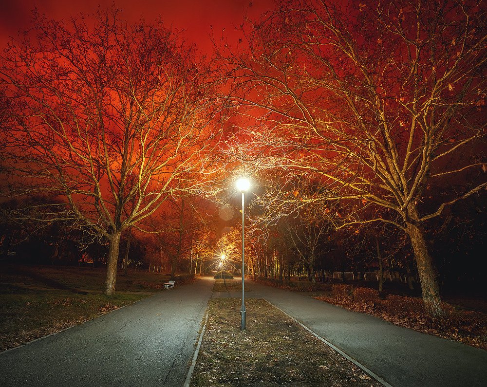 Из цикла: Южная зима 2019. Красная ночь на бульваре в Солнечнодольске.