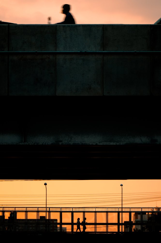 Photograph by Krid Karnsomdee