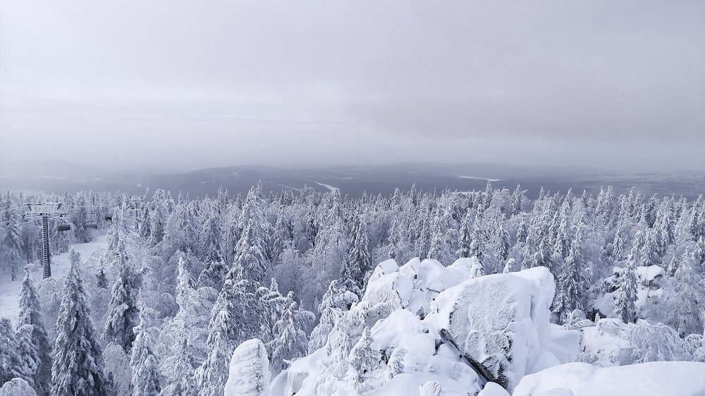 Photograph by Сергей Носач