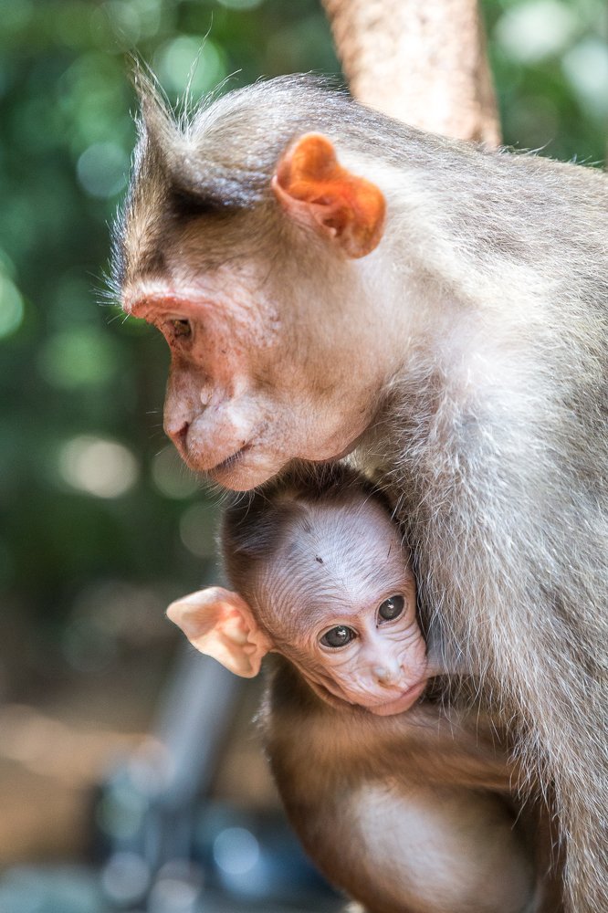 Фотография автора Михаил Боряк