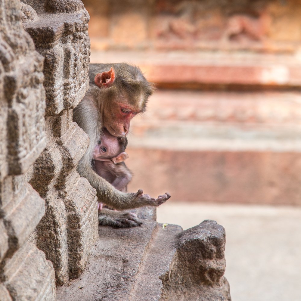 Фотография автора Михаил Боряк