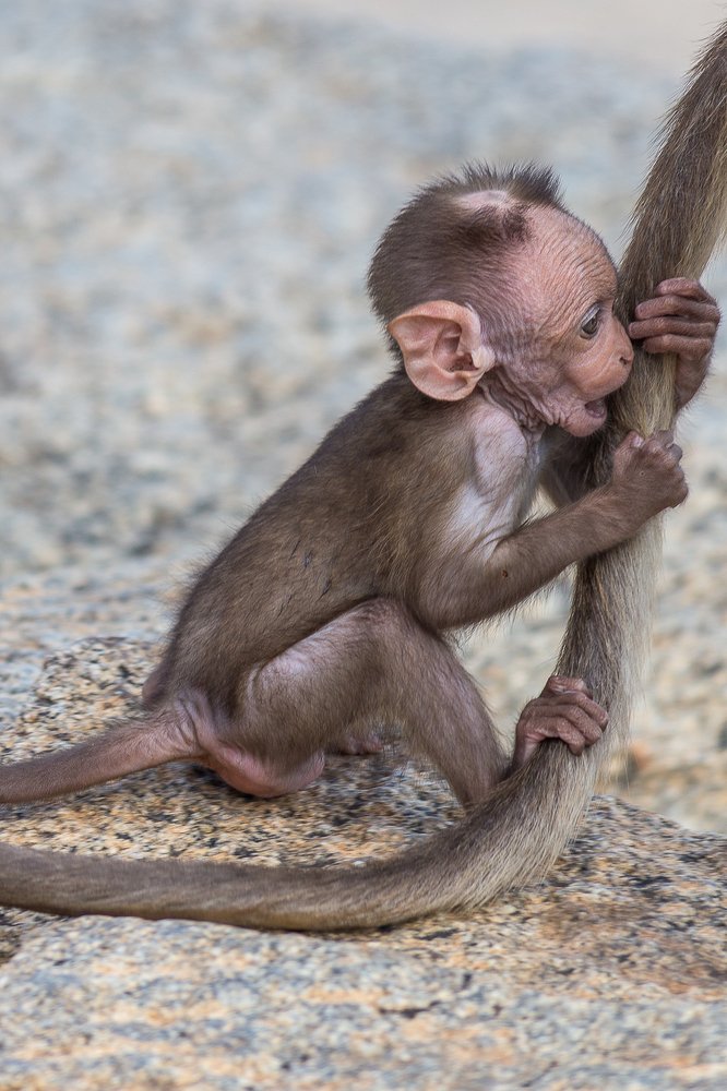 Фотография автора Михаил Боряк