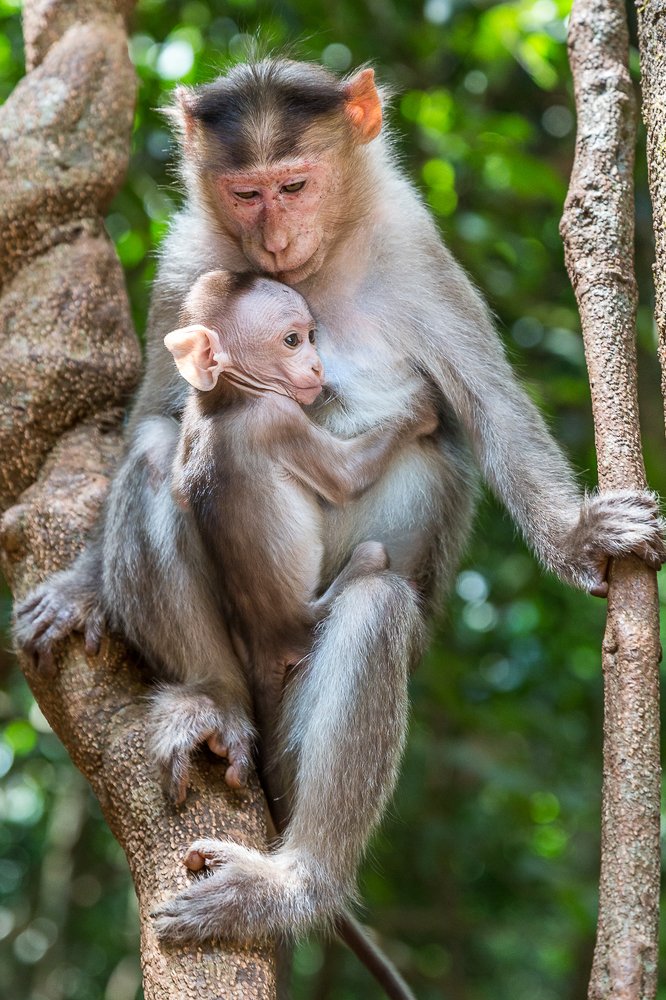 Фотография автора Михаил Боряк