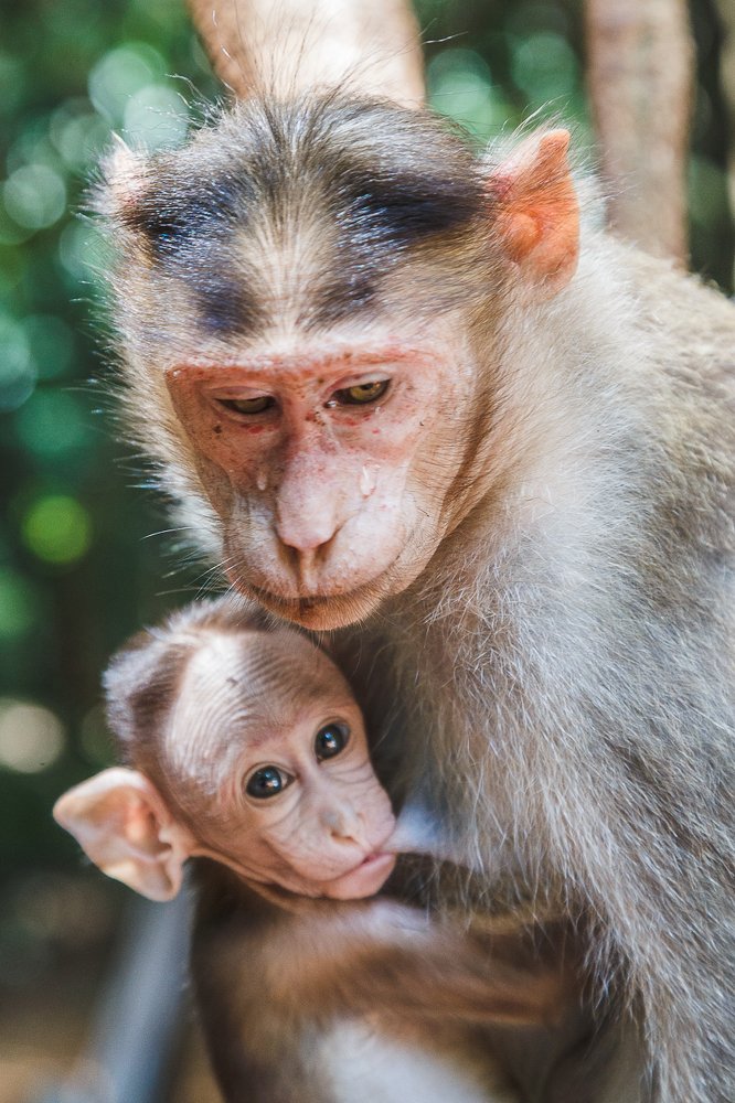 Фотография автора Михаил Боряк