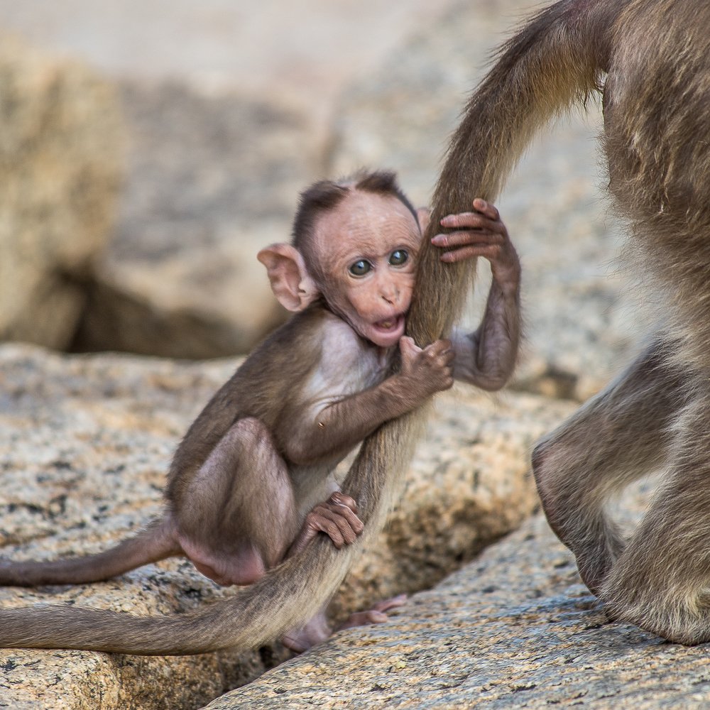 Фотография автора Михаил Боряк