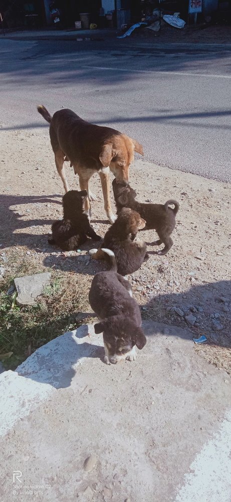 Mother's love..