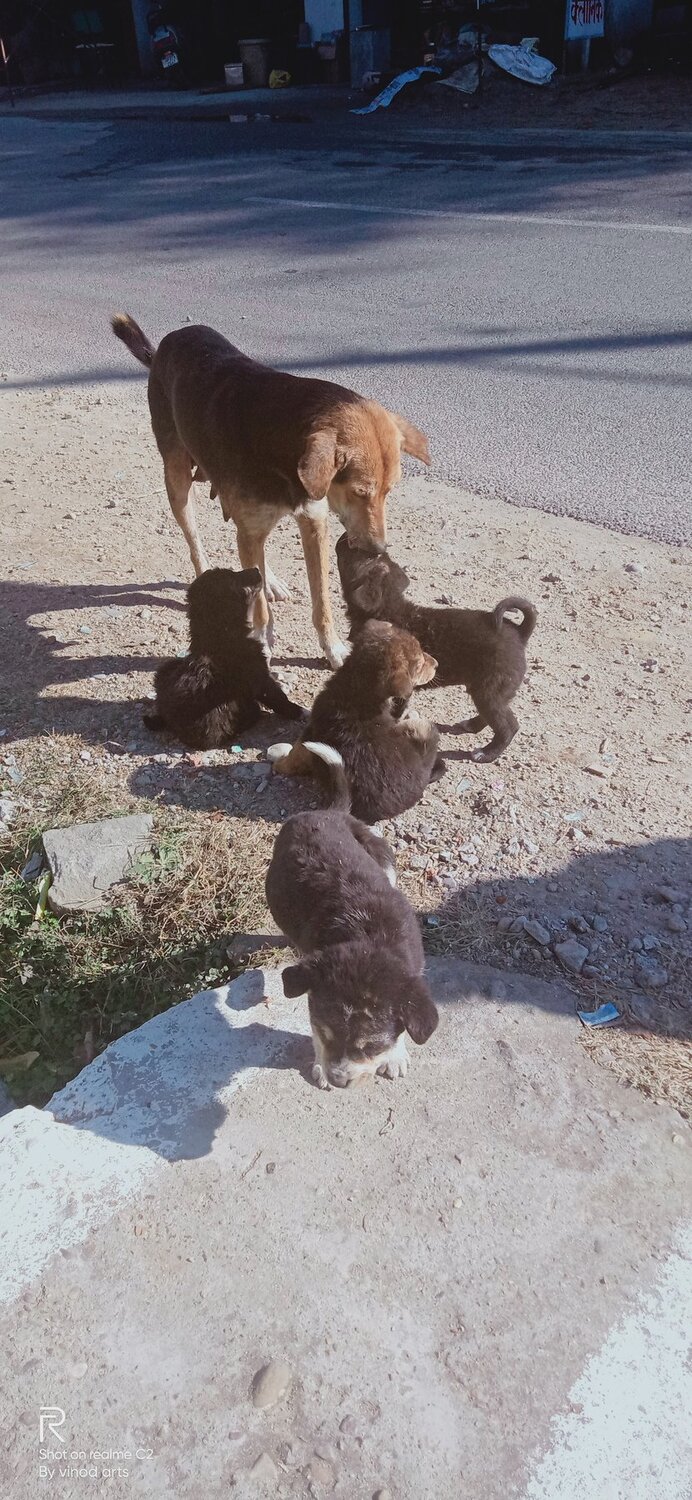 Mother's love..