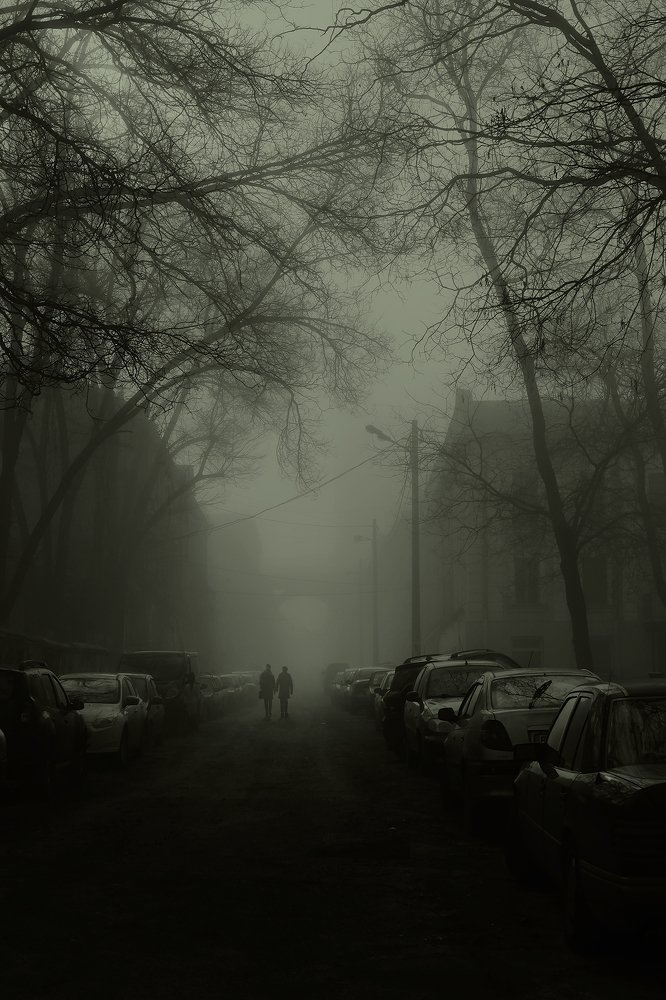 Photograph by Наталия Звиададзе