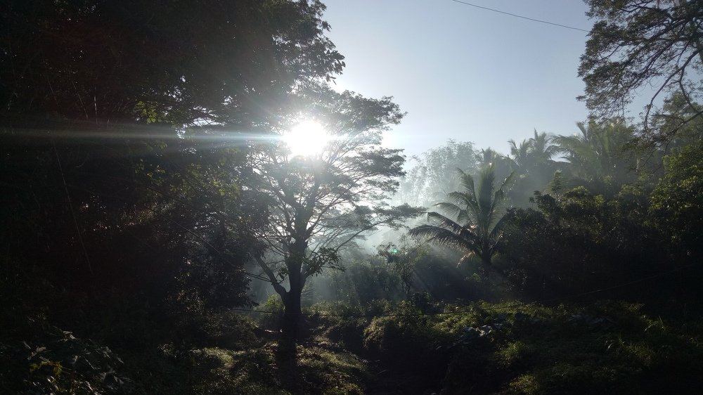 Sunshine @ the Wilderness of Dolores, Quezon
