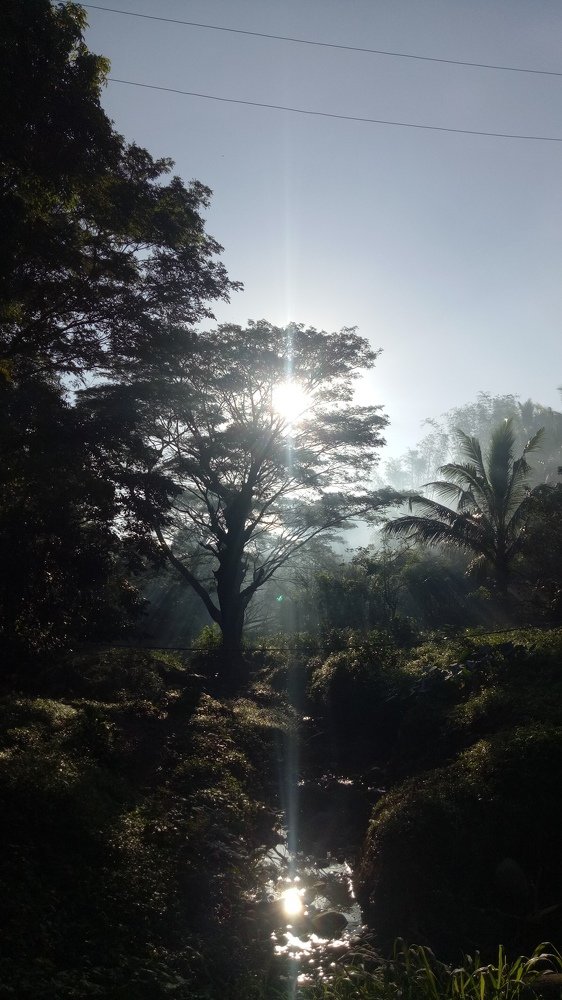 Reflection @ the Wilderness of Dolores, Quezon