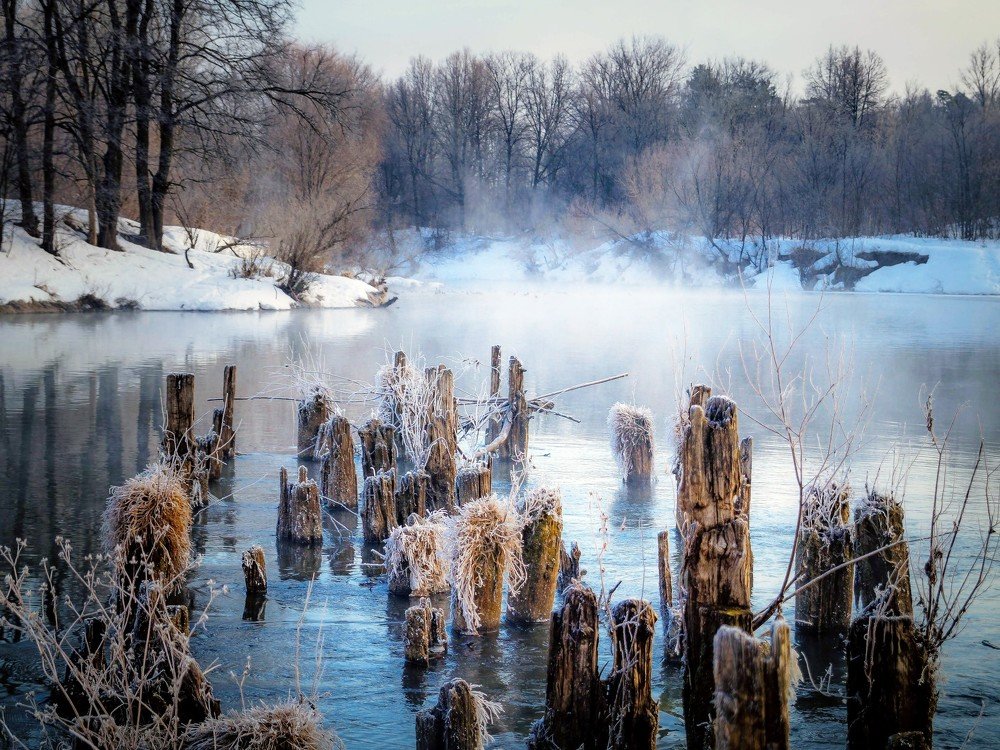 Photograph by Сергей Забиякин