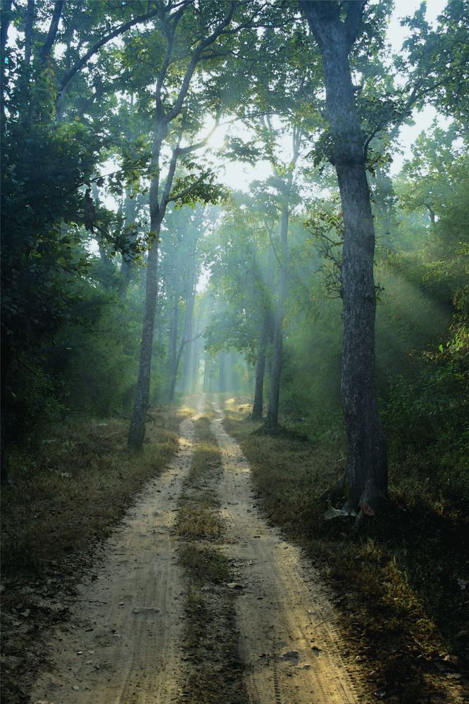 Photograph by Preet saluja