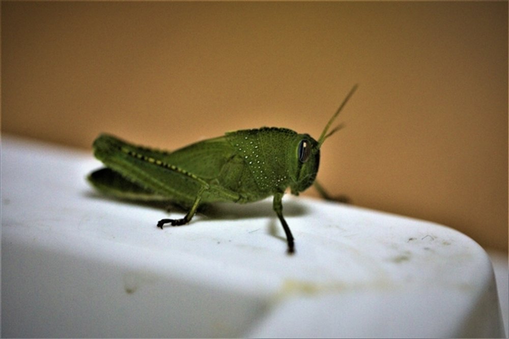 Photograph by Антонина Владимировна Завальнюк