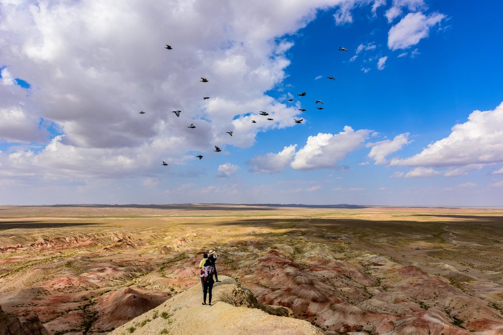 Photograph by Long Nguyen