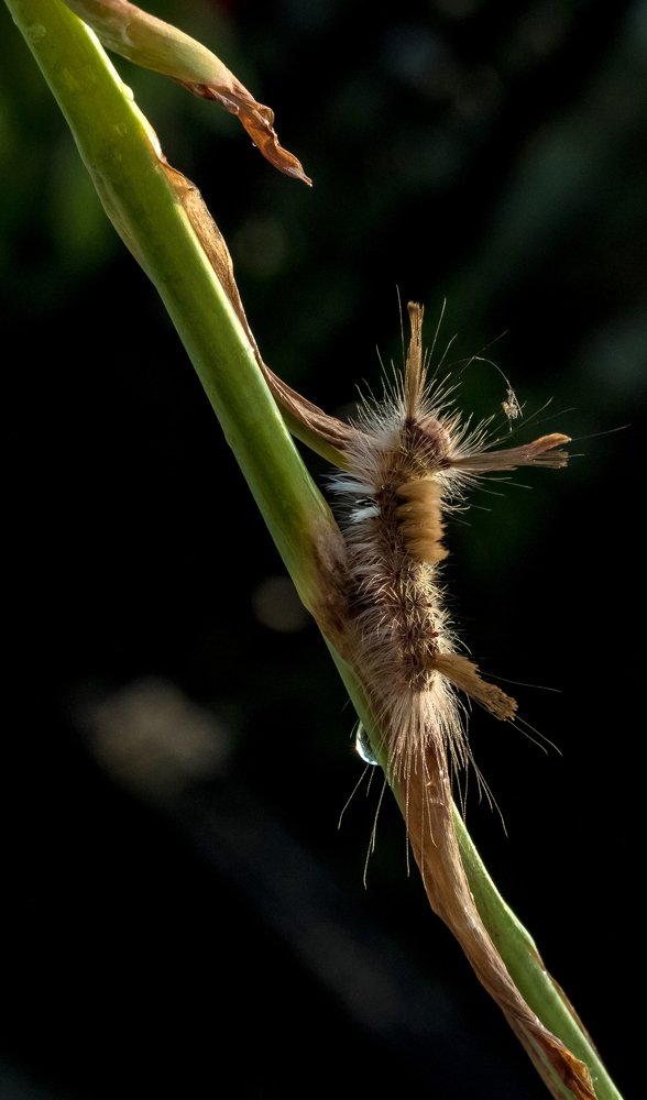 Photograph by Sanjay Danait