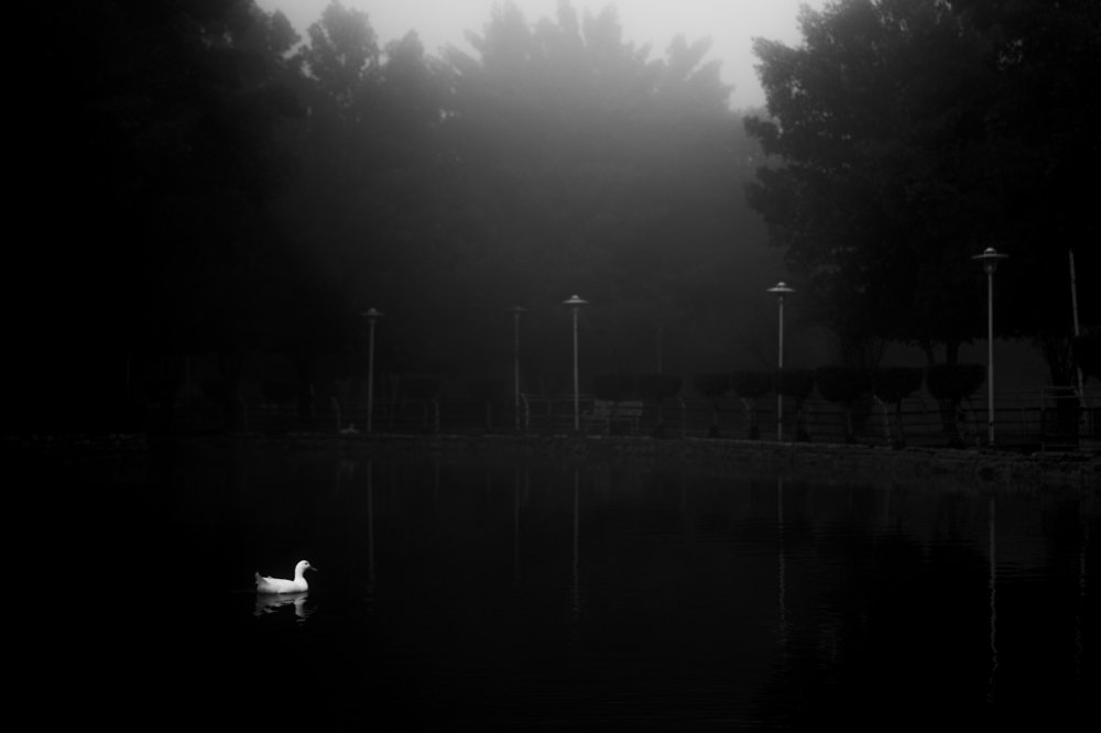 Photograph by Navid Matrian pour